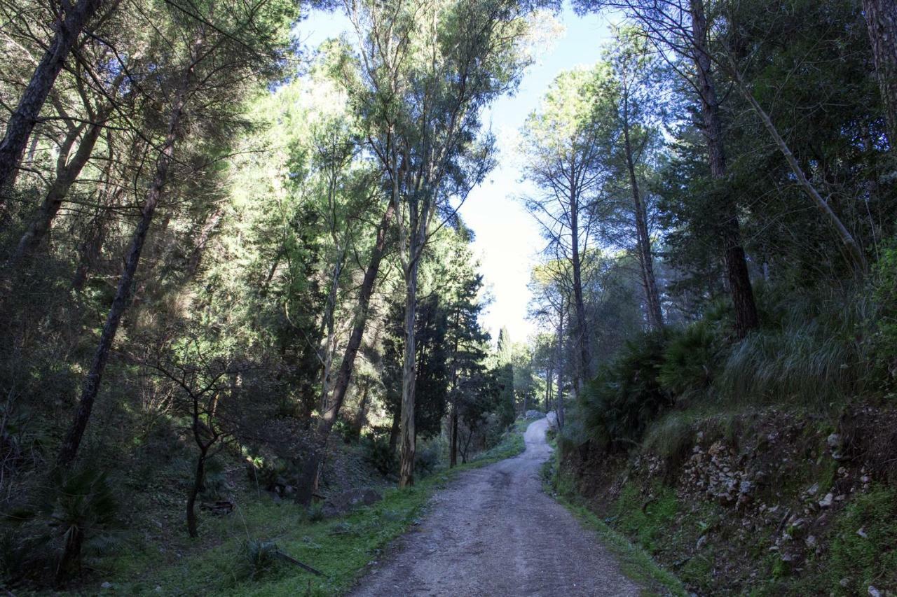 La Dimora Di Segesta B&B Calatafimi Buitenkant foto