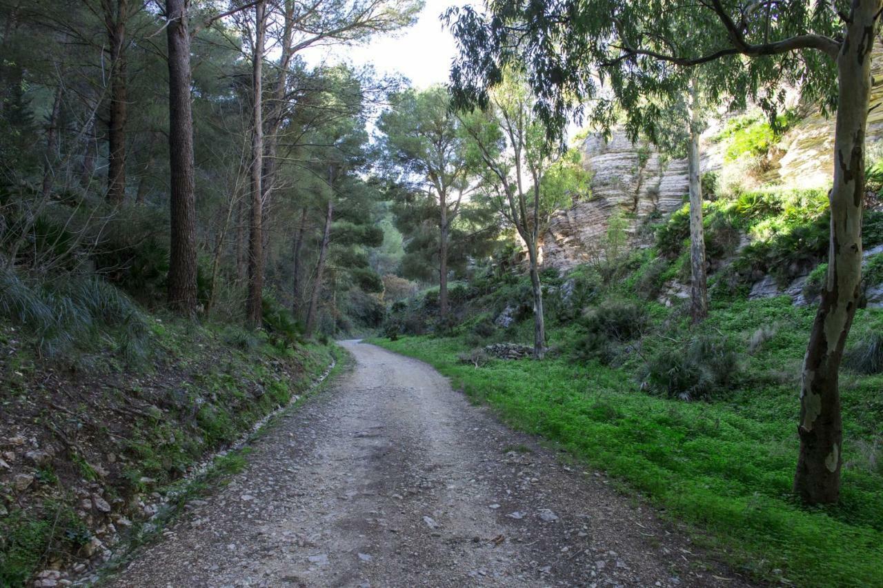 La Dimora Di Segesta B&B Calatafimi Buitenkant foto